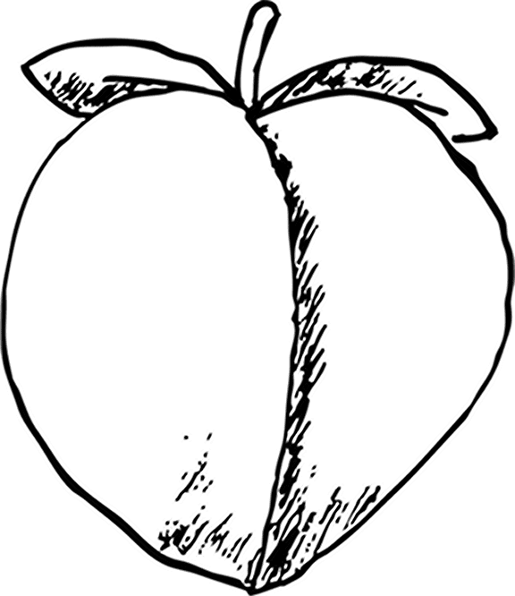 Slide 8